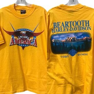 NEW - Harley Davidson H-D Y2K Beartooth MT Motorcycle Shirt L - Made in USA